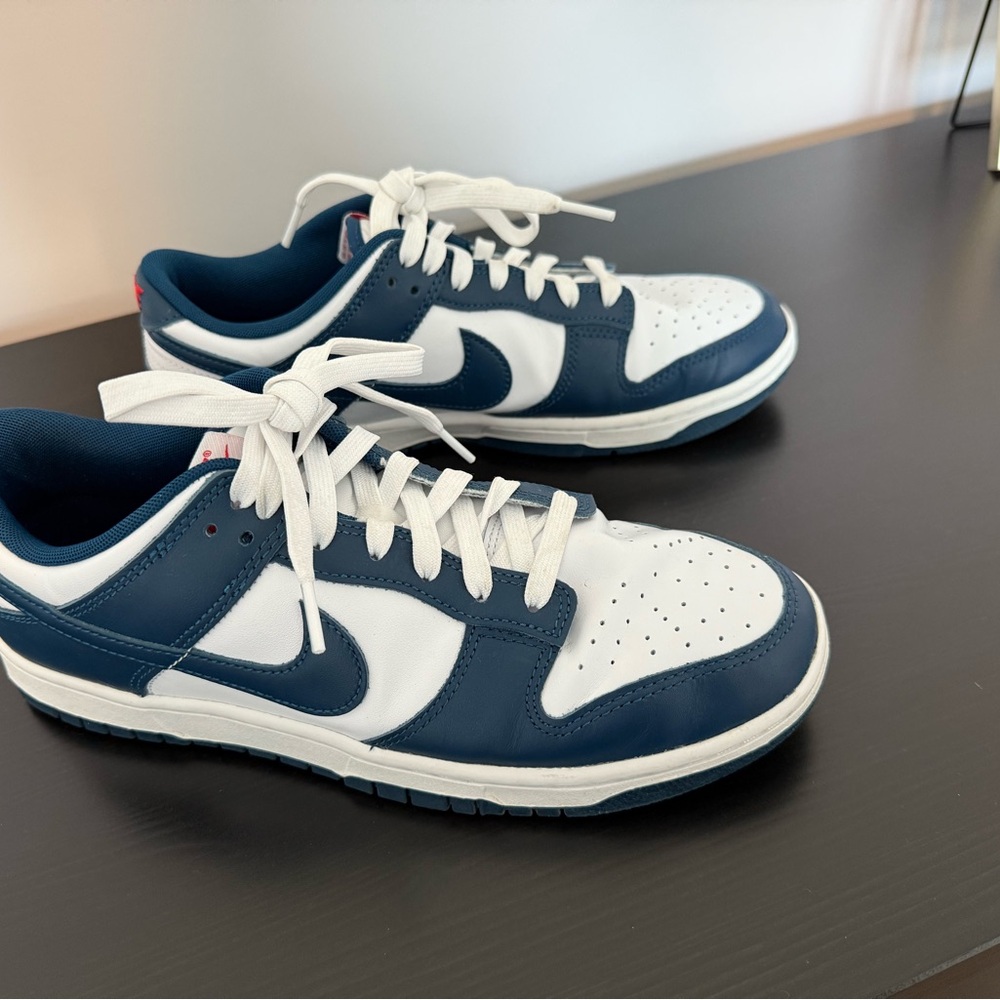Nike Men's Navy and White Sneakers